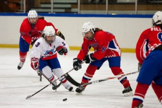 Frá HM kvenna sem haldið var í Reykjavík 2014