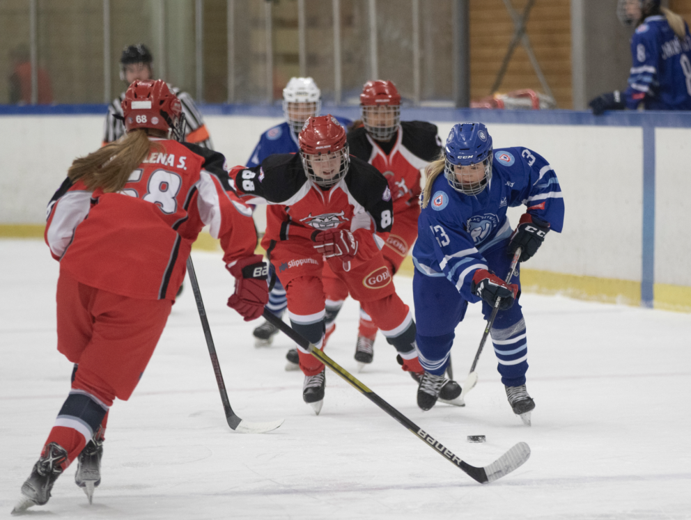 Kostnaðarþátttaka í janúarverkefnum