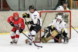 Frá leiknum á laugardag