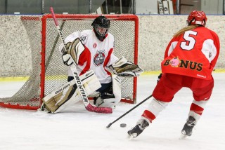 Ásynjur - Ynjur umfjöllun