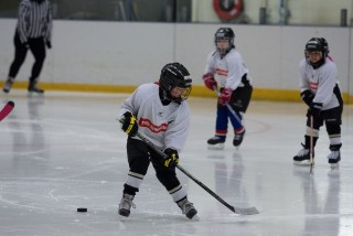 Stelpuhokkídagurinn