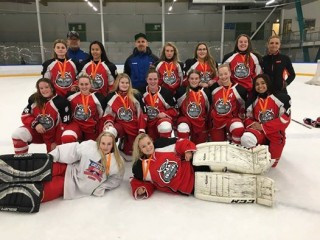 U18 hokkístelpur frá Íslandi