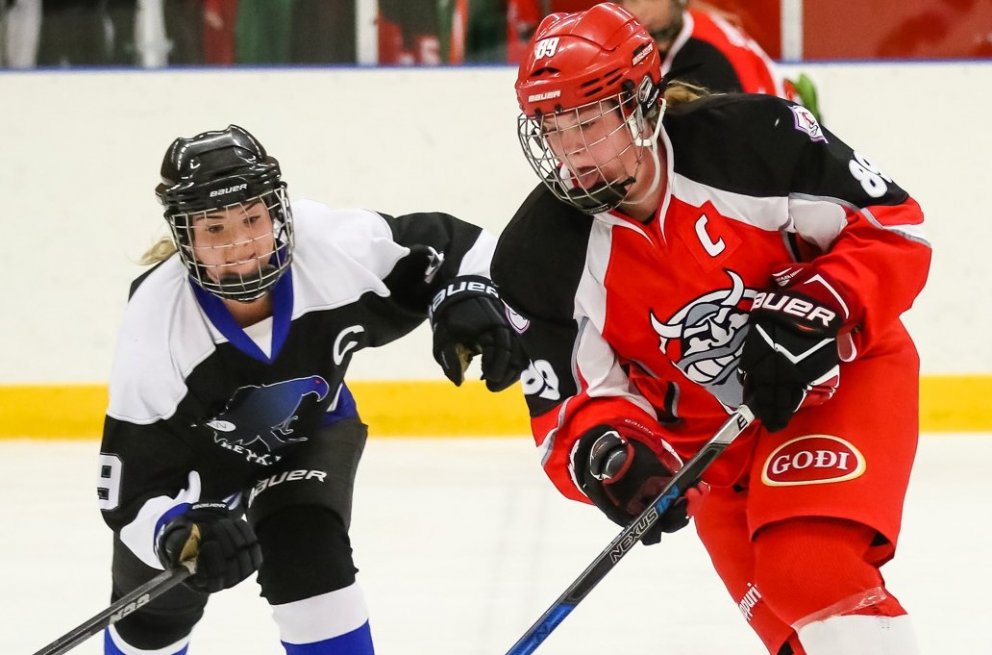 Myndataka; Elvar Freyr Pálsson