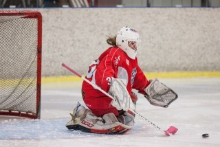 SA Ynjur - SR umfjöllun