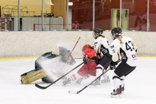 Mynd: Elvar Freyr Pálsson