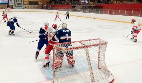 Ísland sigraði Tyrkland 8 - 4