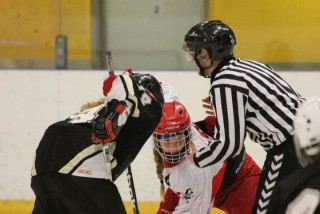 Uppfærð mótaskrá