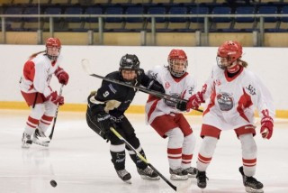 Frá viðureign liðanna í vetur. Ljósm. Elvar P.