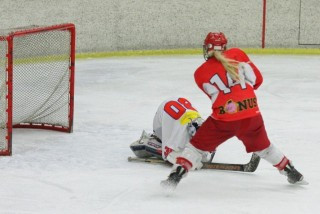 Frá leik Ynja og SR