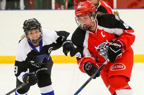 Myndataka; Elvar Freyr Pálsson